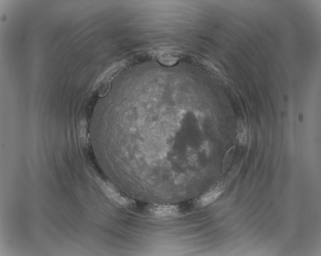 X0000067890670200604201310