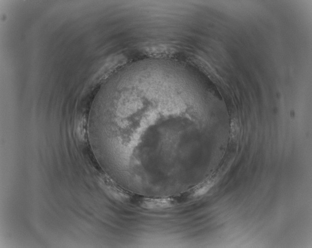 X0000067890671200604201310