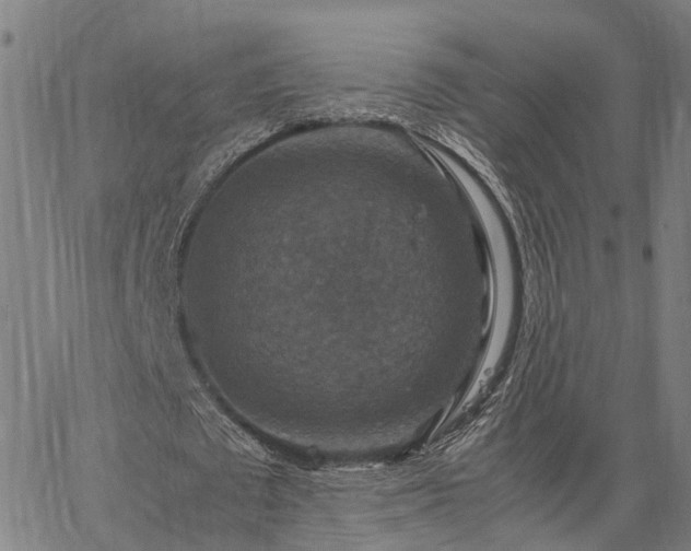 X0000067890673200604201310