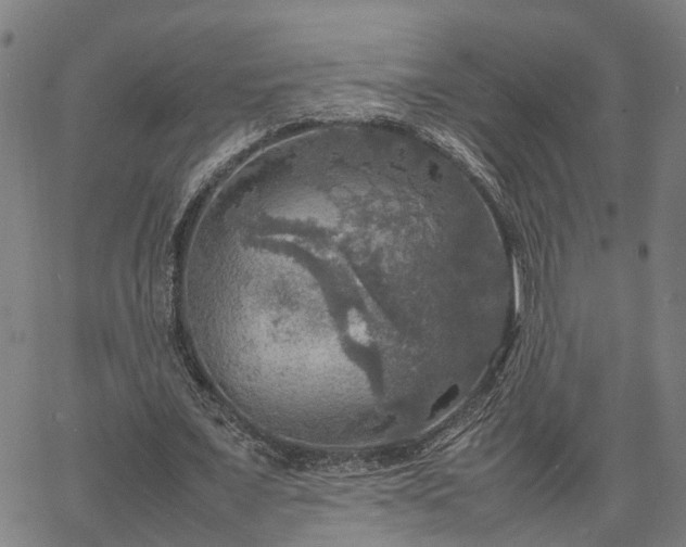 X0000067890675200604201310