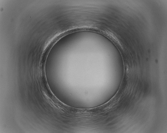 X0000067890676200604201310