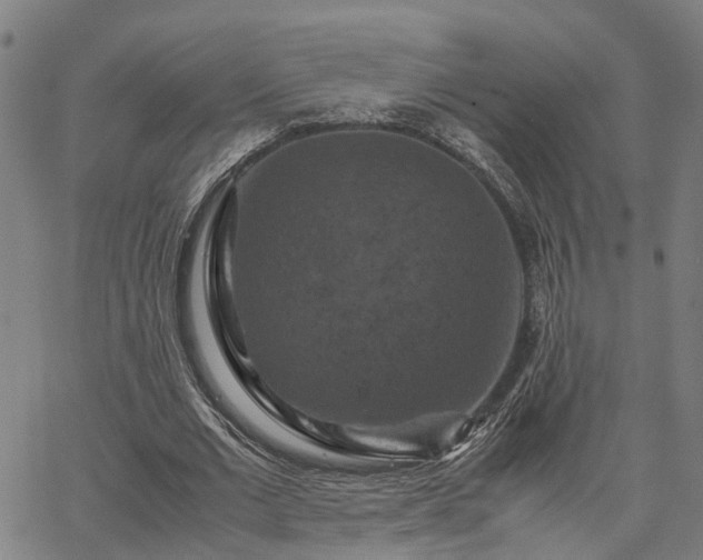 X0000067890677200604201310