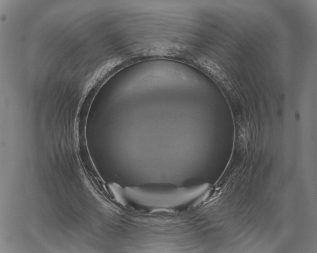 X0000067890678200604201310