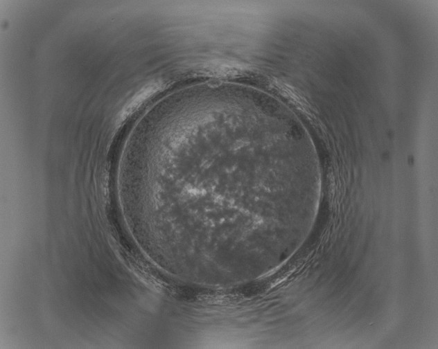 X0000067890679200604201310