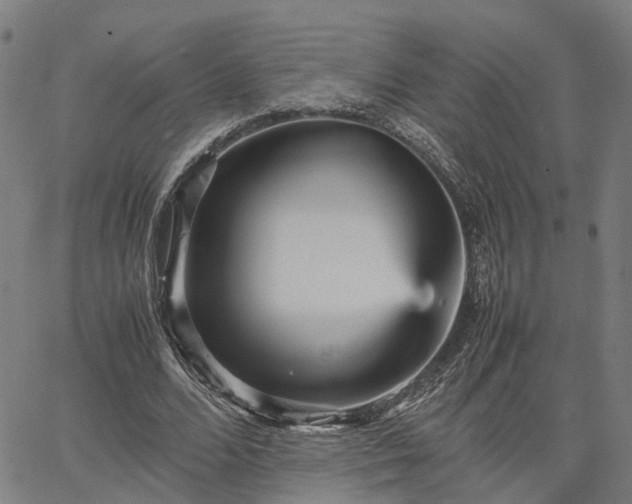 X0000067890680200604201310