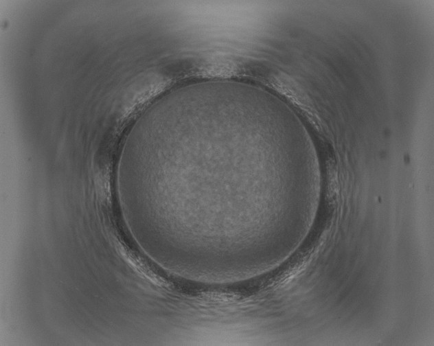 X0000067890681200604201310