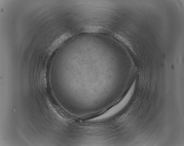 X0000067890682200604201310