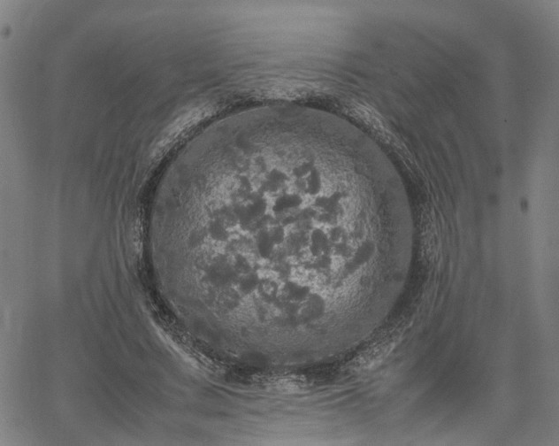 X0000067890683200604201310