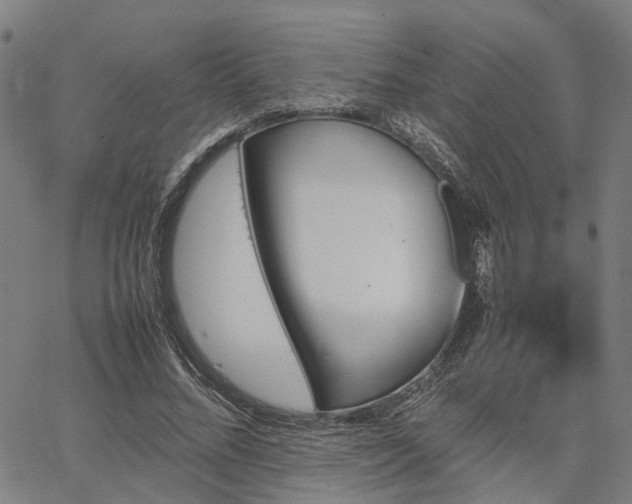 X0000067890684200604201310