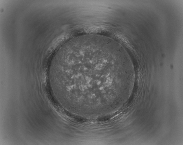 X0000067890687200604201309