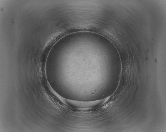 X0000067890688200604201309