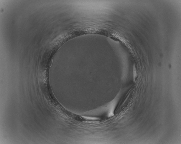 X0000067890689200604201309