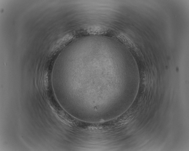 X0000067890690200604201309