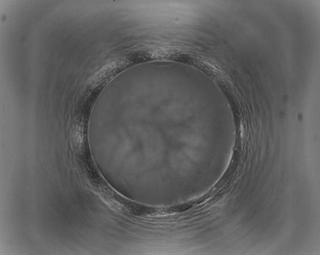 X0000067890691200604201309