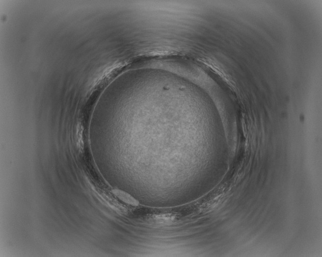 X0000067890692200604201309