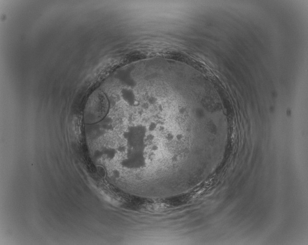 X0000067890695200604201309