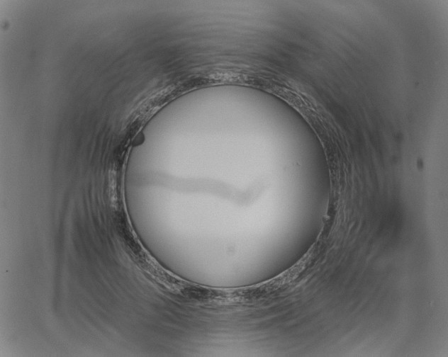 X0000067890696200604201309