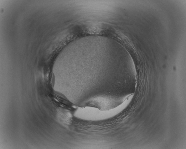 X0000067890697200604201309