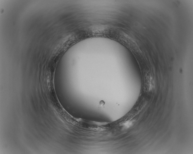 X0000067890698200604201309