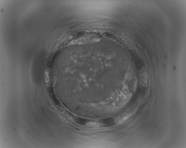 X0000067890699200604201309