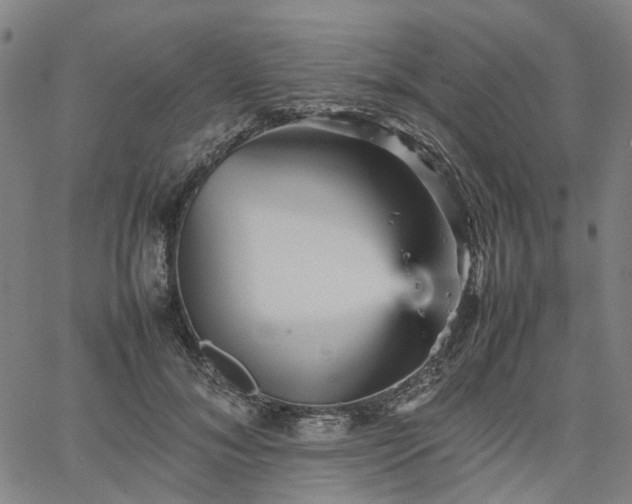 X0000067890700200604201309