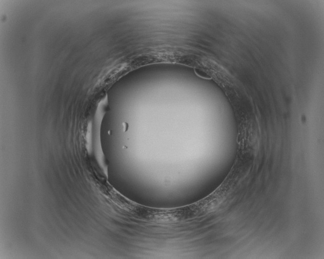 X0000067890702200604201309