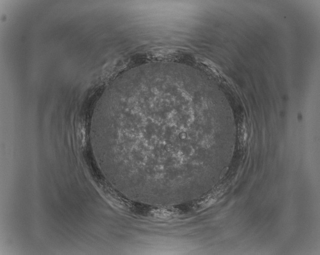 X0000067890703200604201309