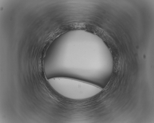 X0000067890704200604201309