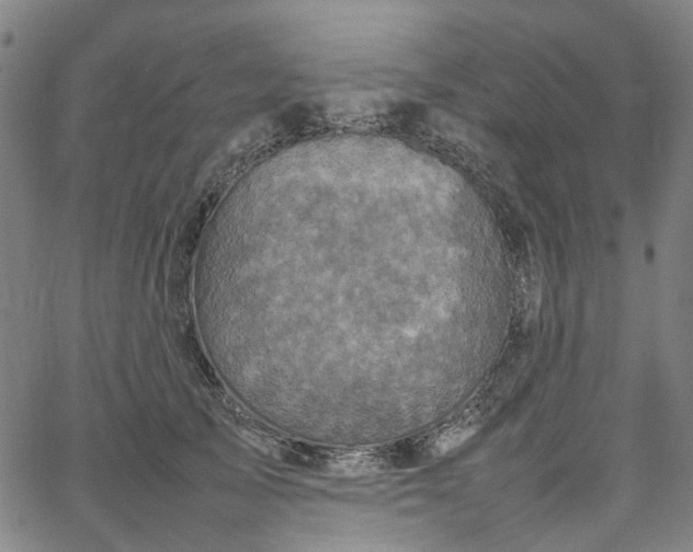 X0000067890705200604201309