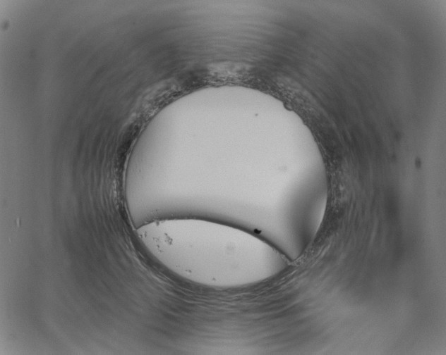 X0000067890706200604201309