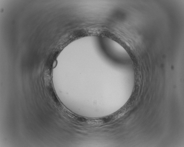 X0000067890707200604201309