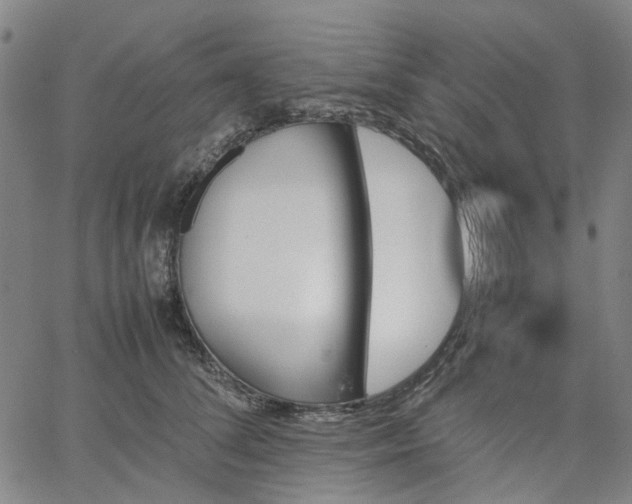 X0000067890708200604201309