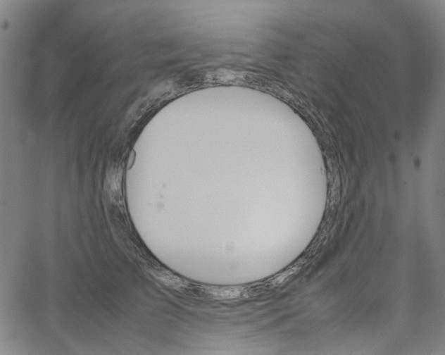 X0000067890709200604201309