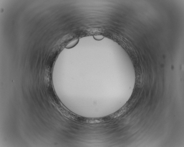 X0000067890710200604201309