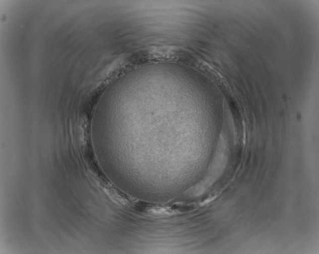 X0000067890712200604201309