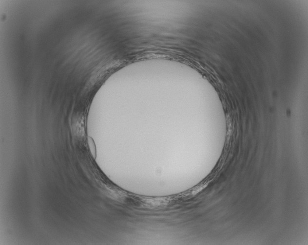 X0000067890713200604201309