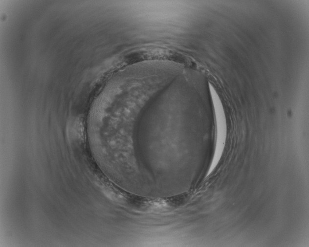 X0000067890715200604201309