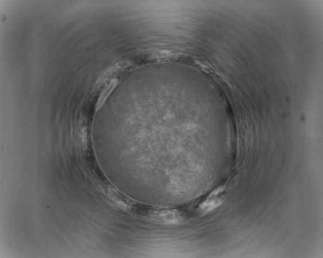 X0000067890716200604201309