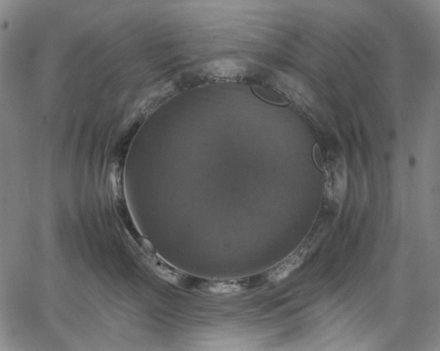 X0000067890718200604201309