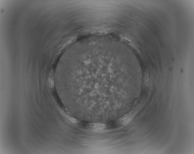 X0000067890719200604201309