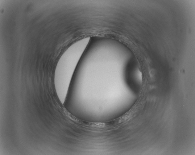 X0000067890720200604201309