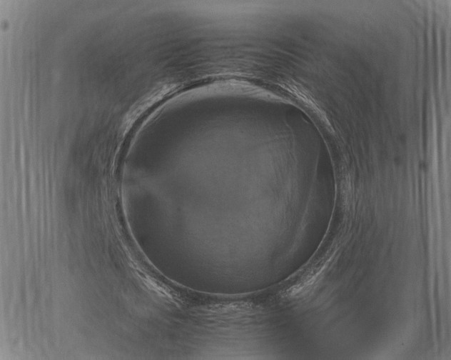 X0000067890721200604201308