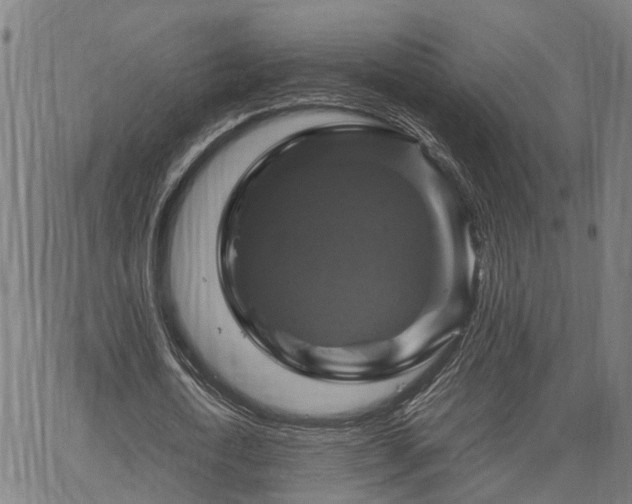 X0000067890722200604201308