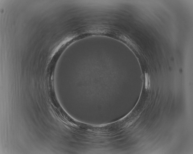 X0000067890723200604201308