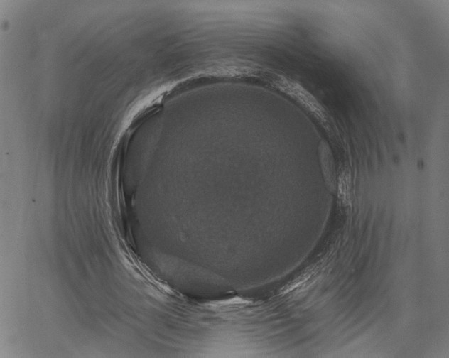 X0000067890724200604201308