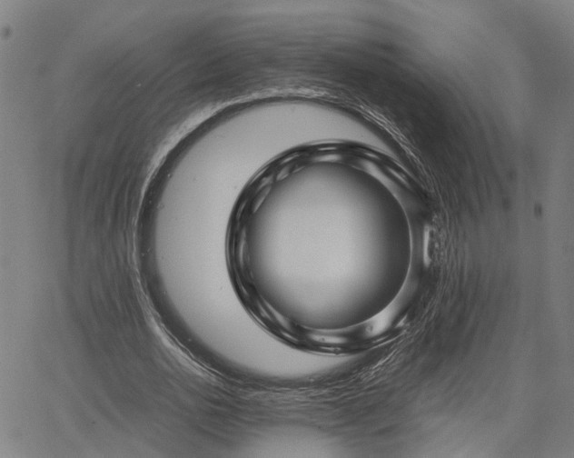 X0000067890726200604201308