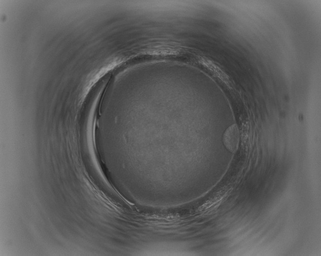 X0000067890727200604201308