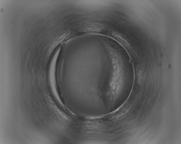 X0000067890729200604201308