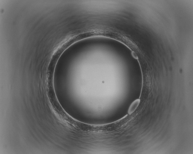 X0000067890730200604201308