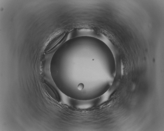 X0000067890731200604201308